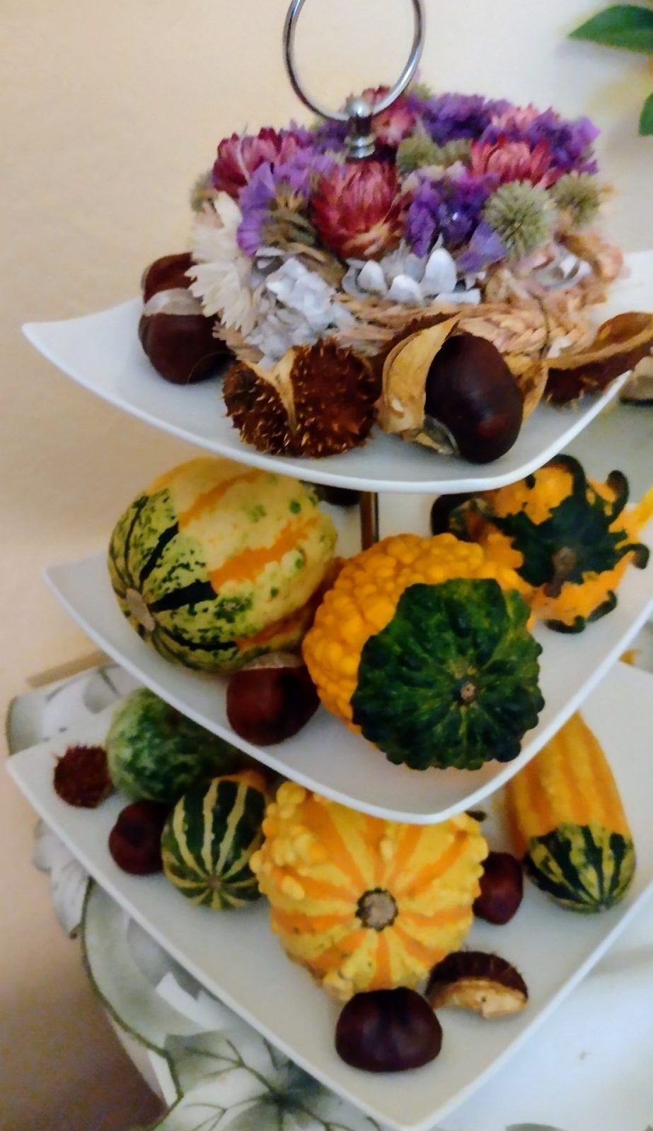 IMG_20241003_182339503