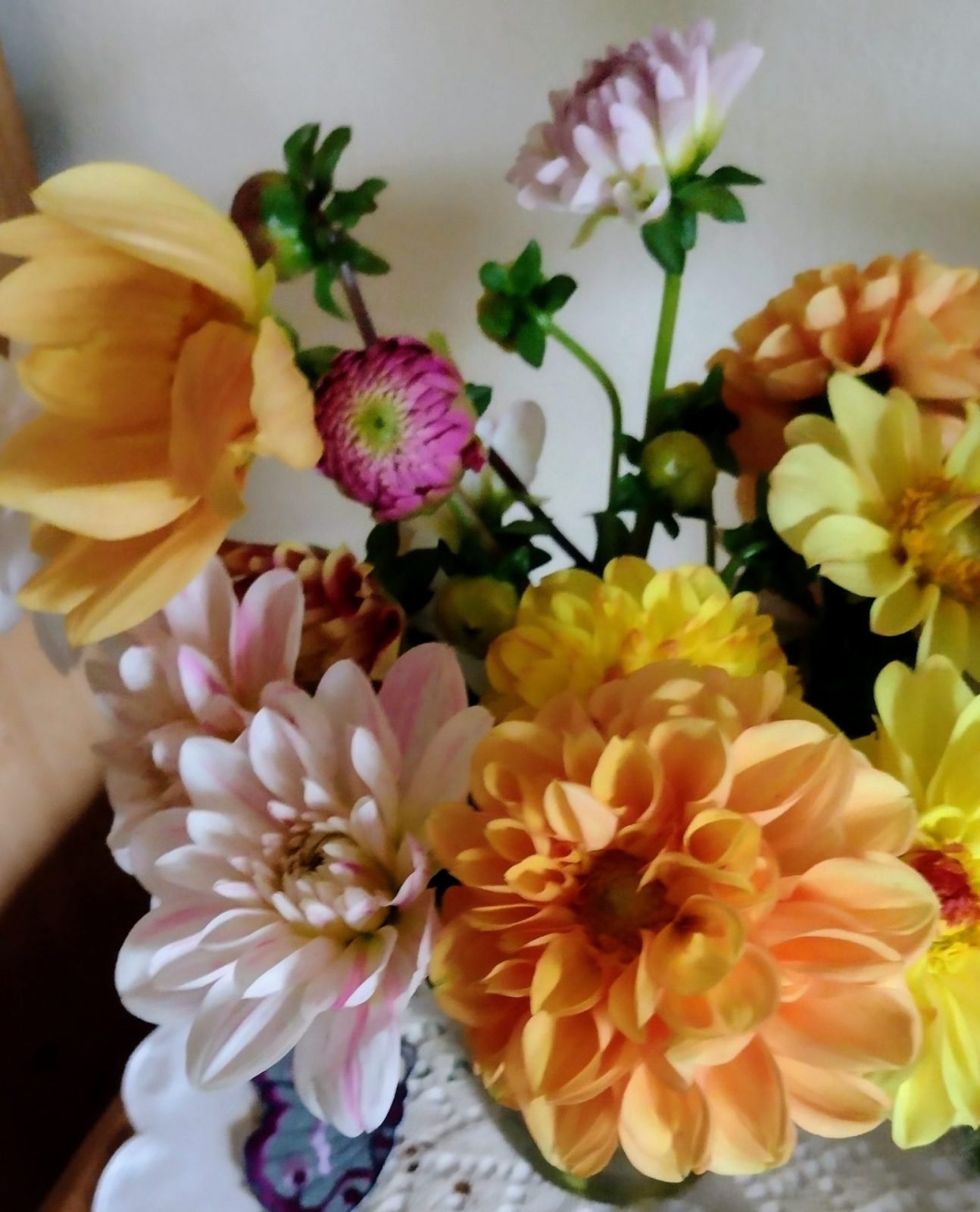 IMG_20241007_081456544