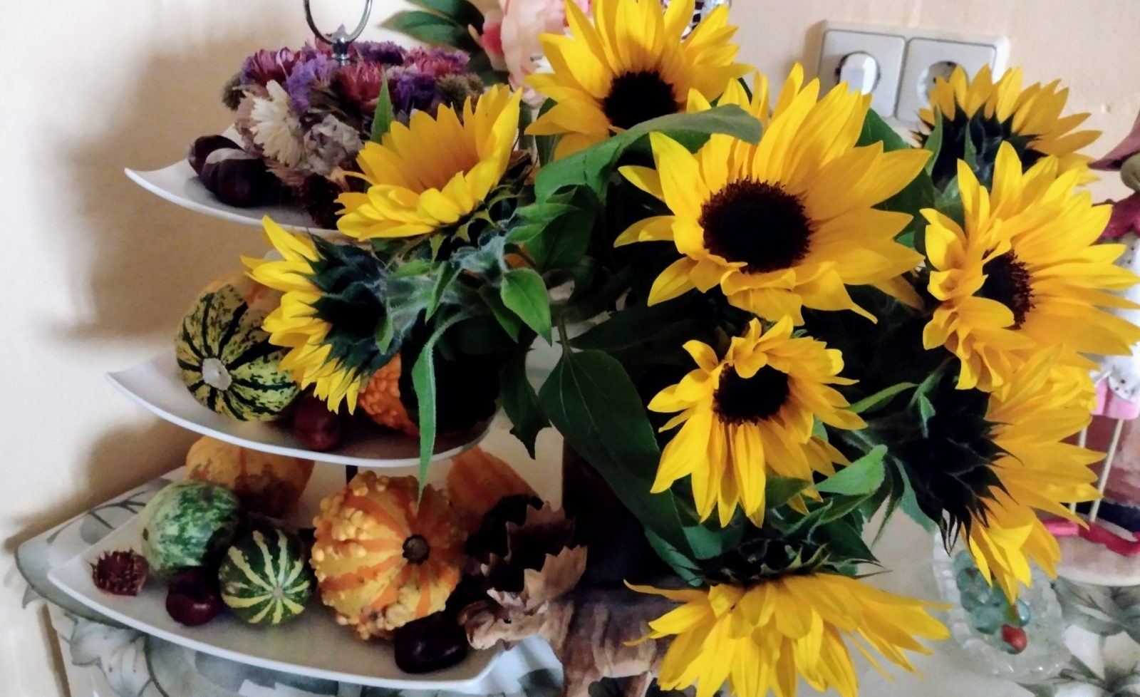 IMG_20241007_081712901