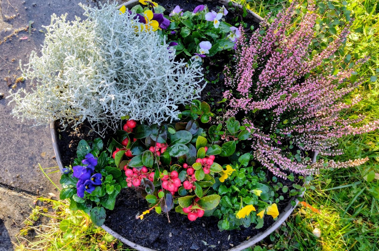 IMG_20241029_153153224