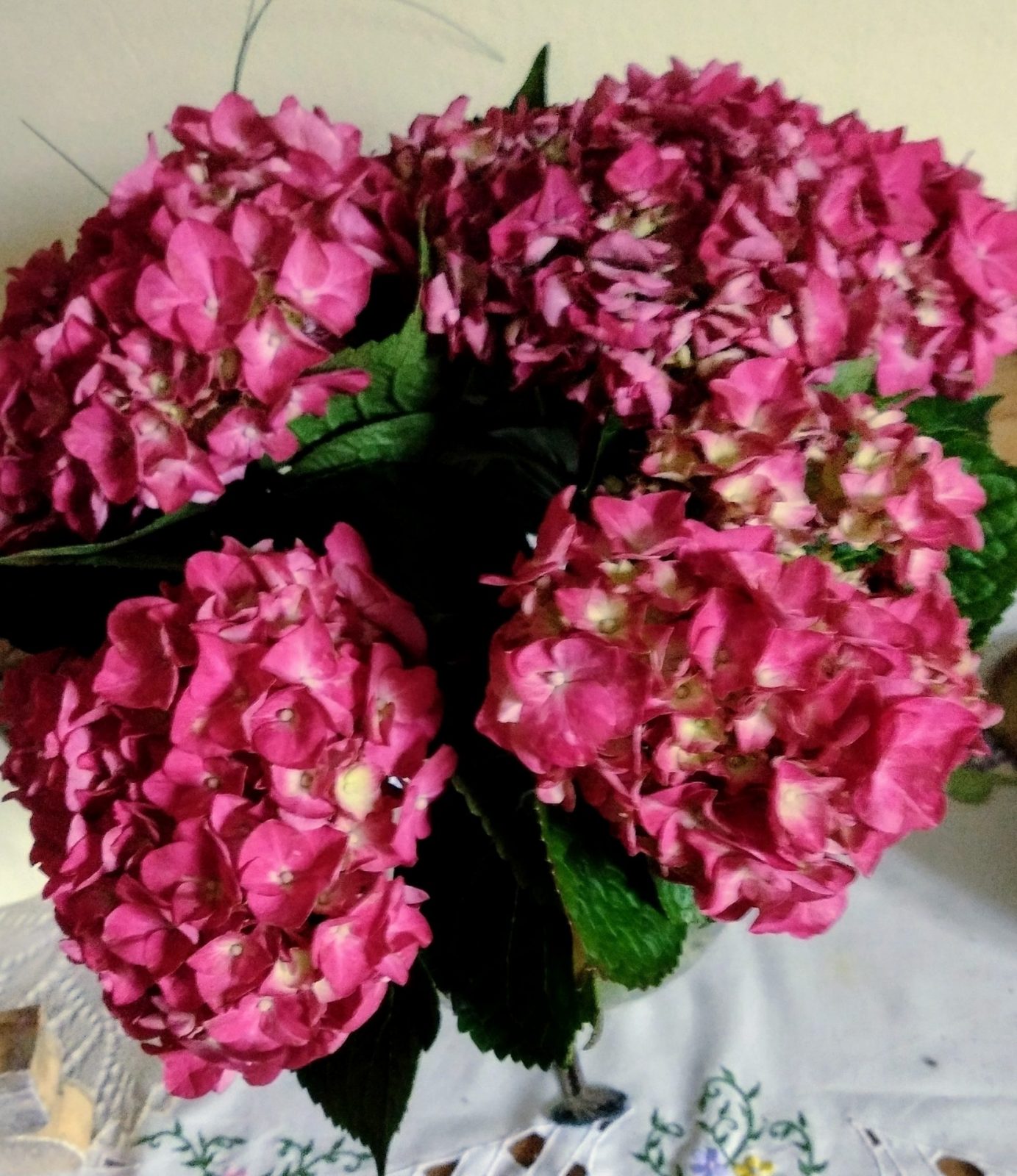 IMG_20241104_082911588