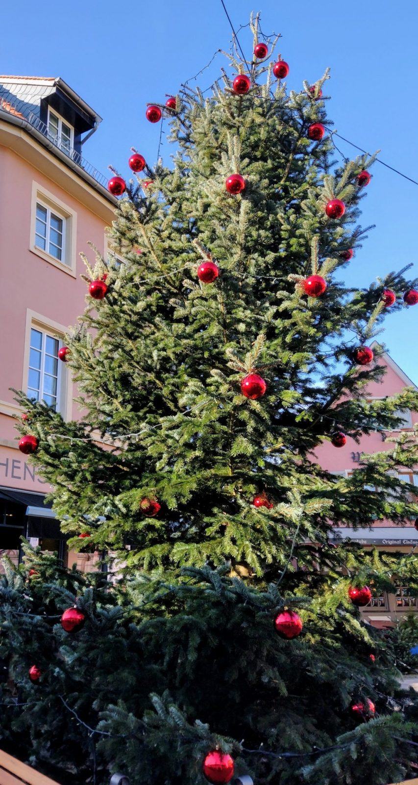 IMG_20241130_132115939