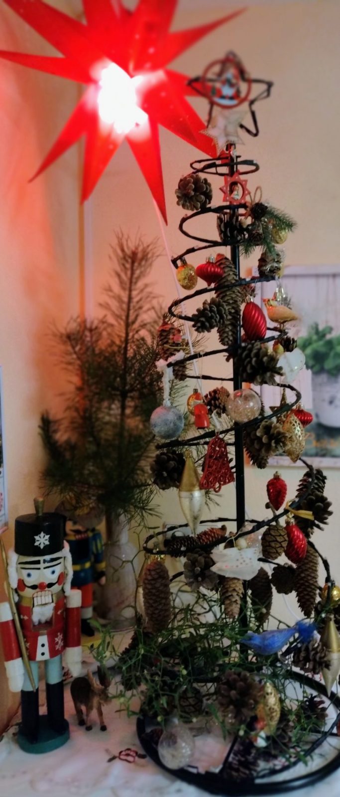 IMG_20241205_175346323_MF_PORTRAIT