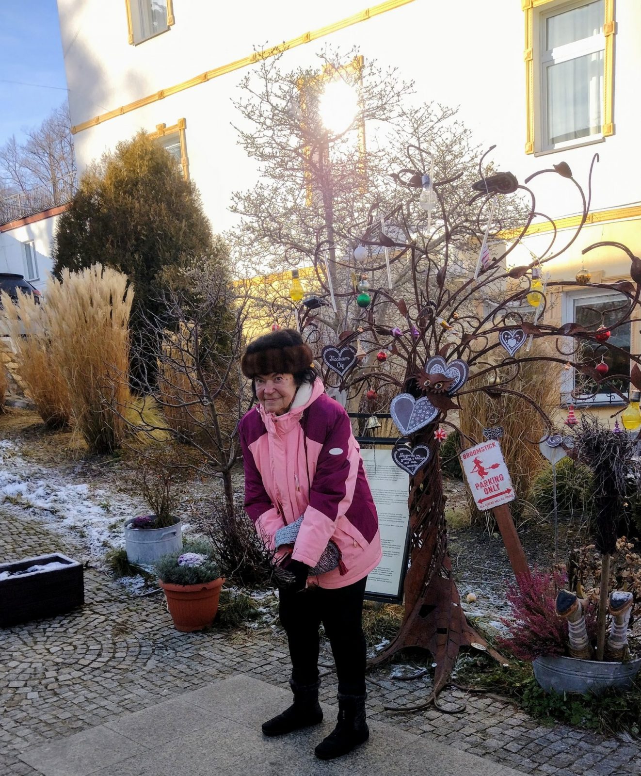 IMG_20241229_115115033