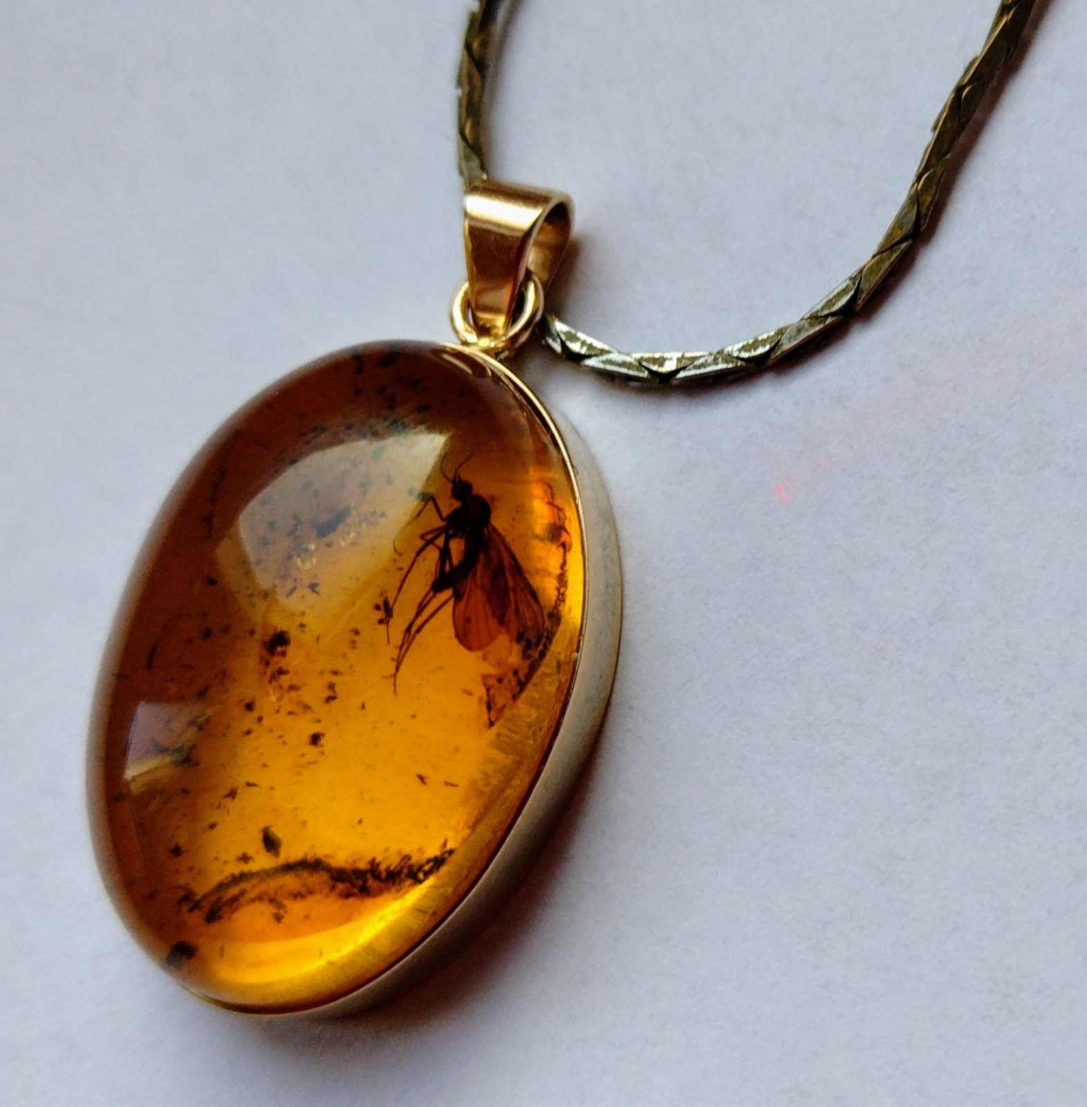 IMG_20250208_085904680