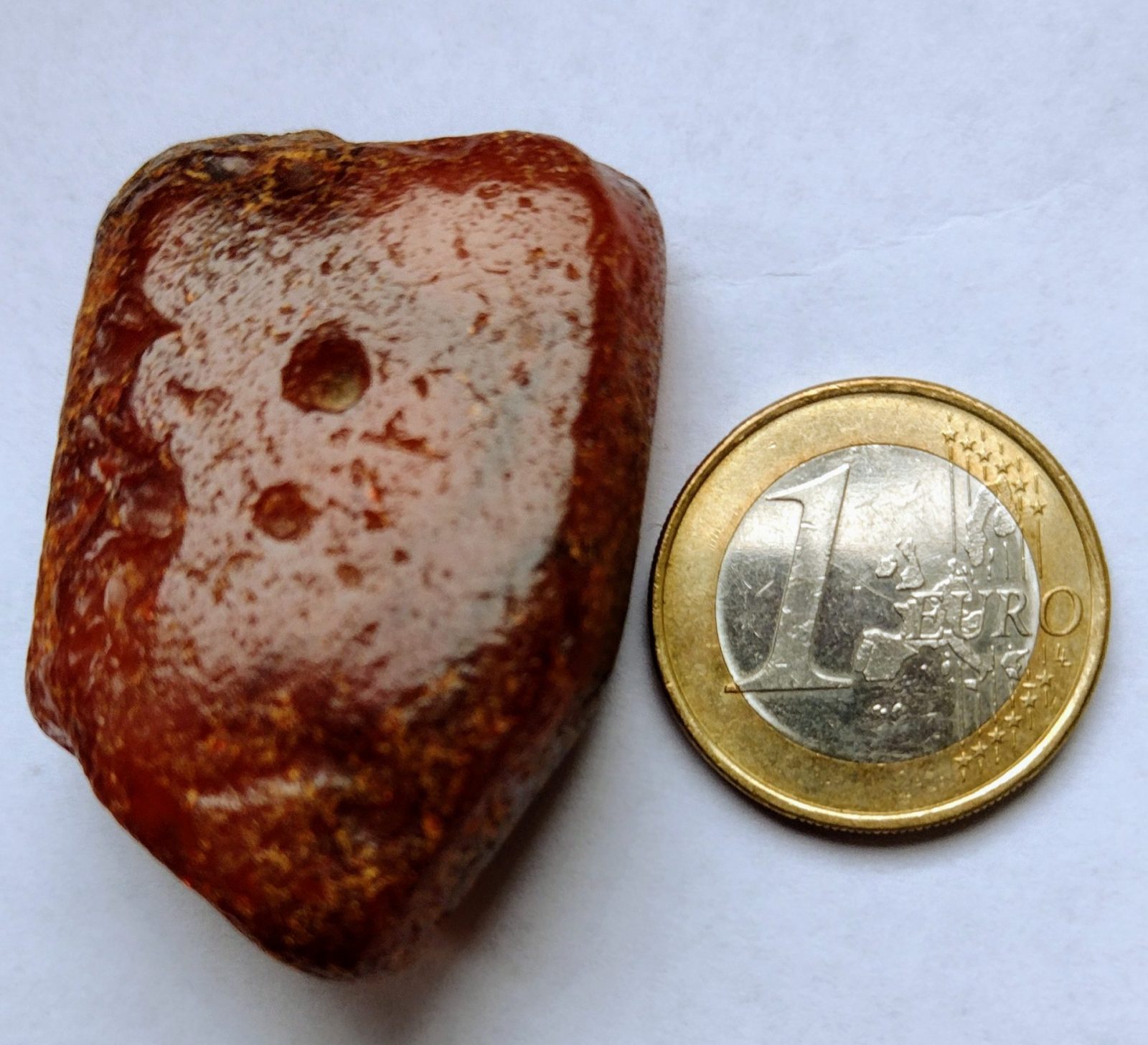 IMG_20250212_094844246