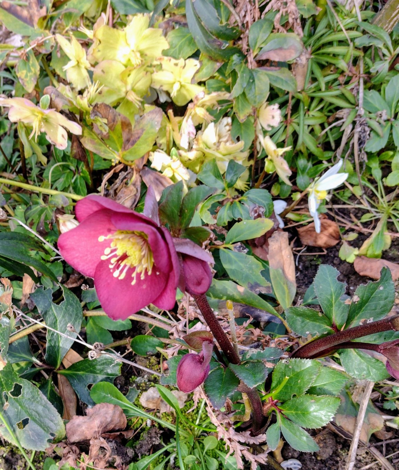 IMG_20250222_121146411