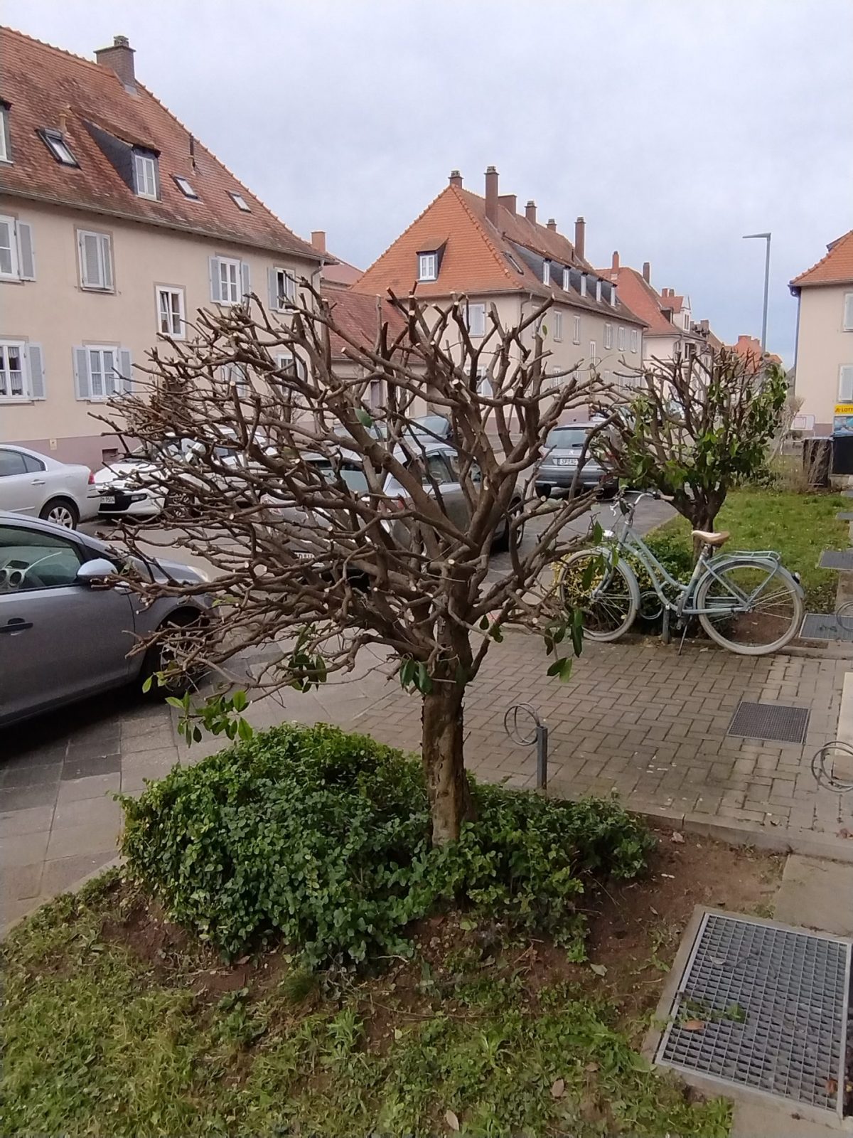 IMG_20250224_141458735