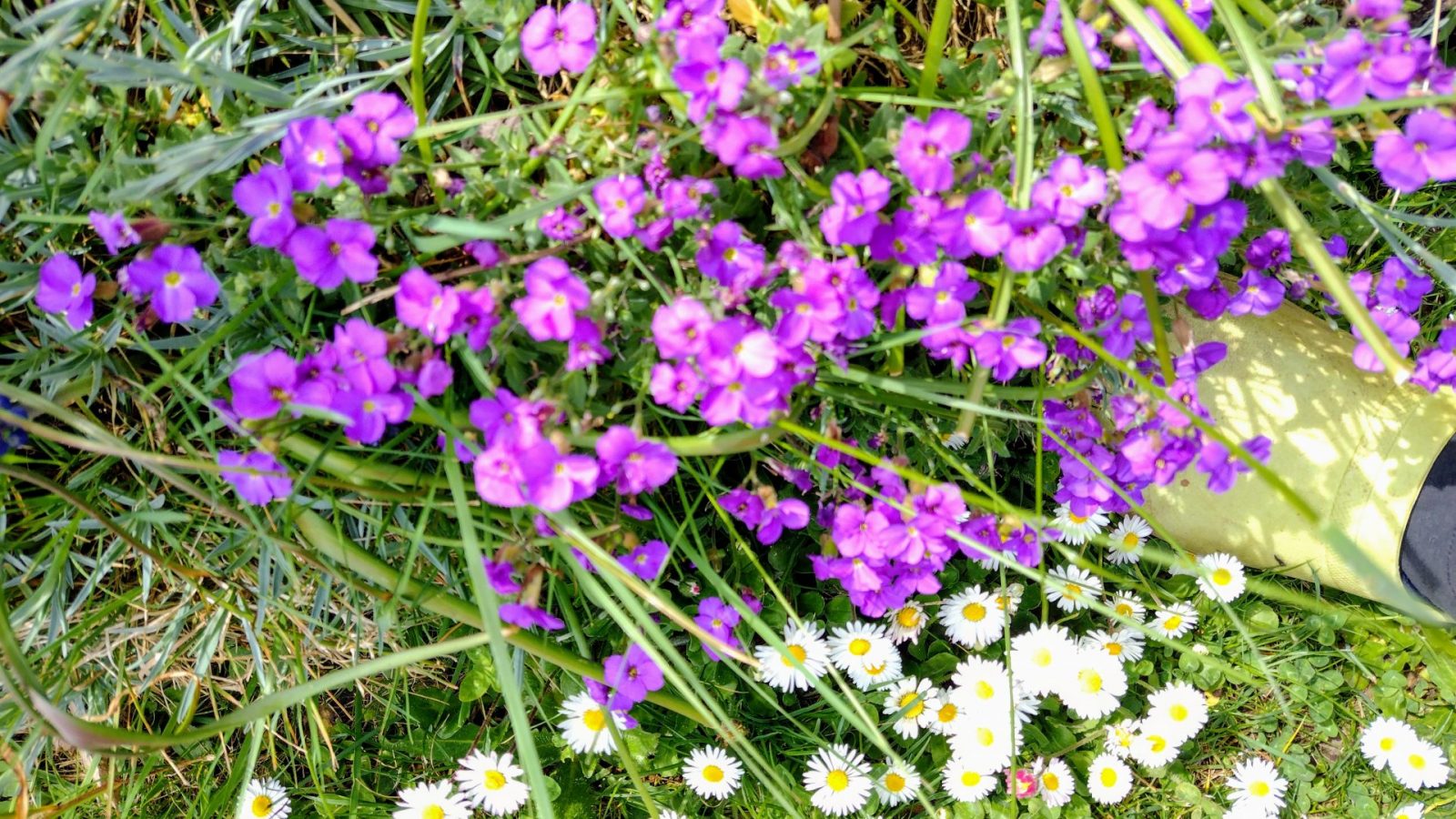 IMG_20250419_150804385