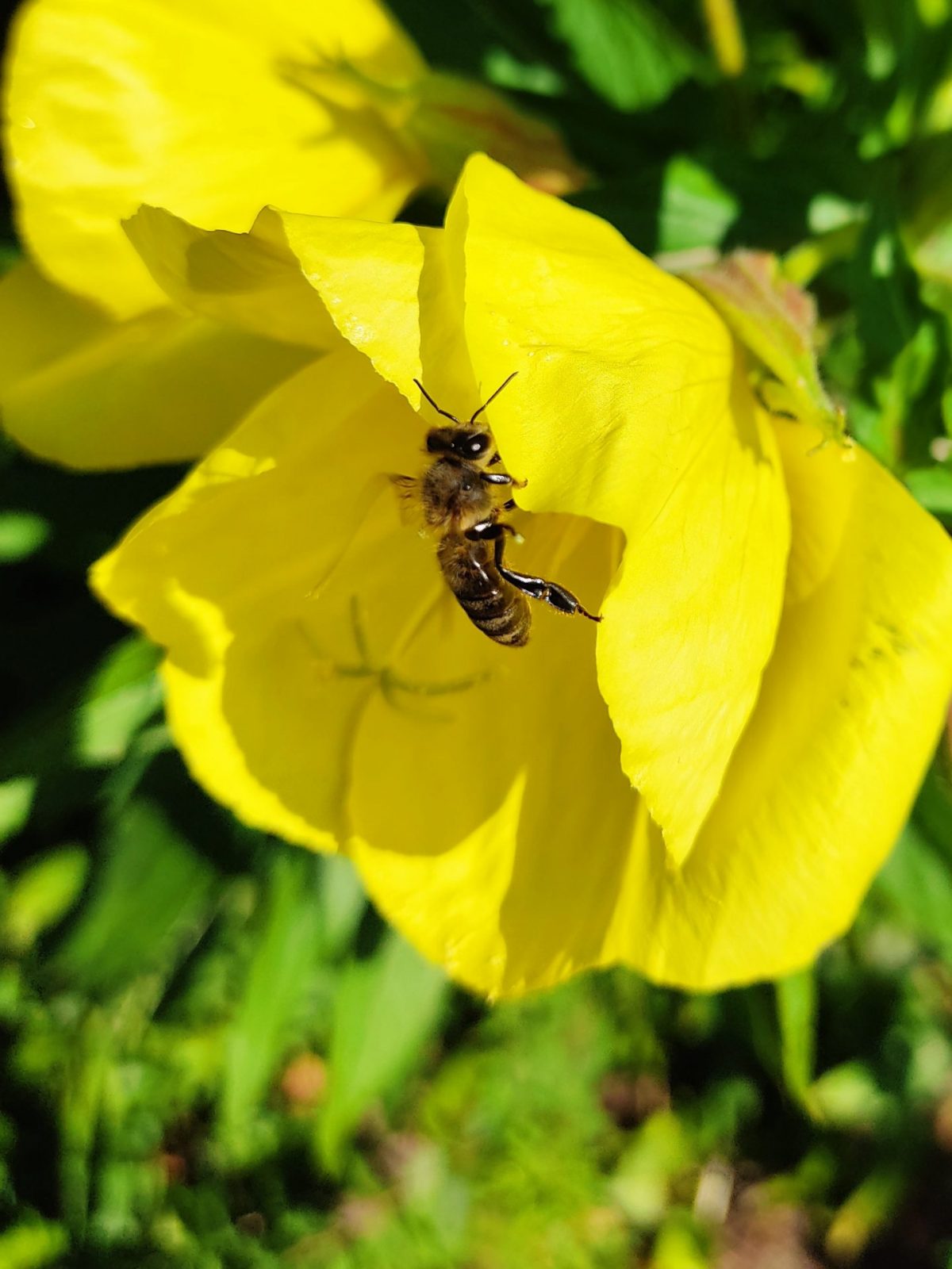 IMG_20250620_112522~2