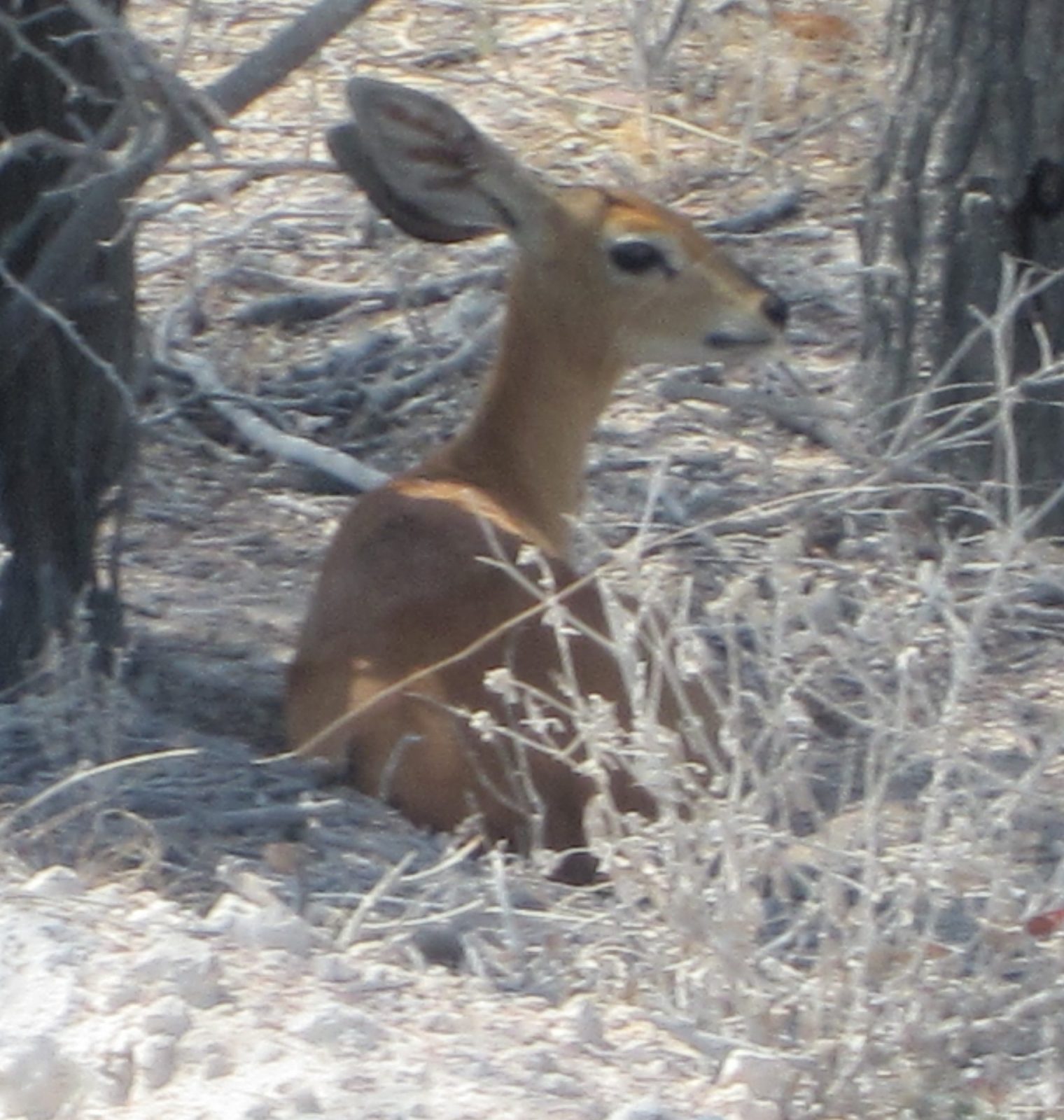 IMG_2175-Kopie-edit-20220714173723