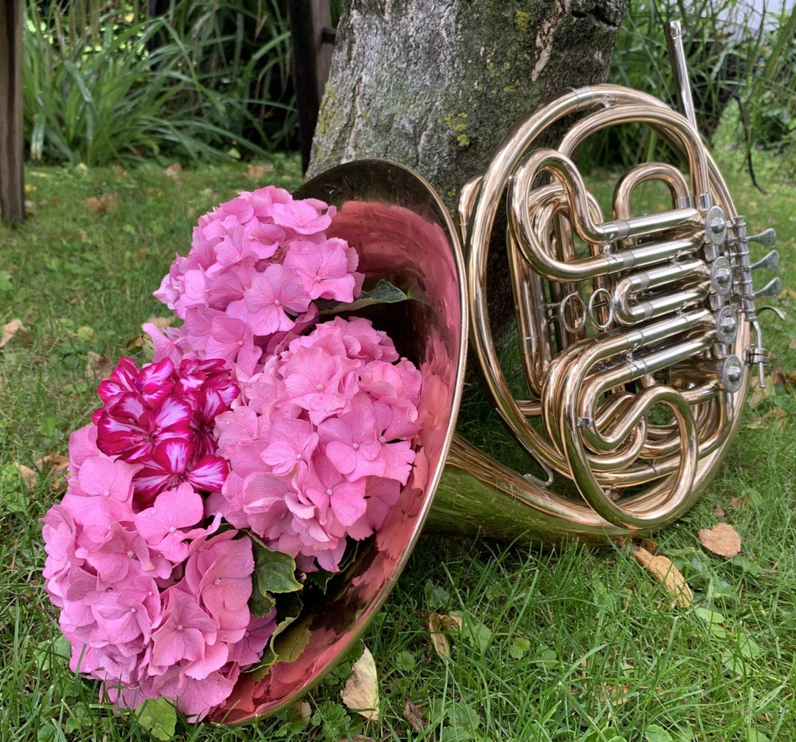 IMG_2491-scaled-e1626354913794