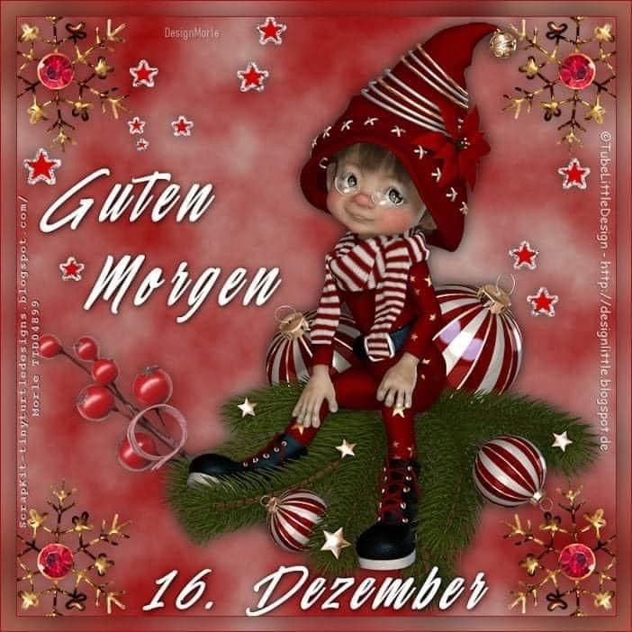 IMG_2689.JPG 16. Dezember