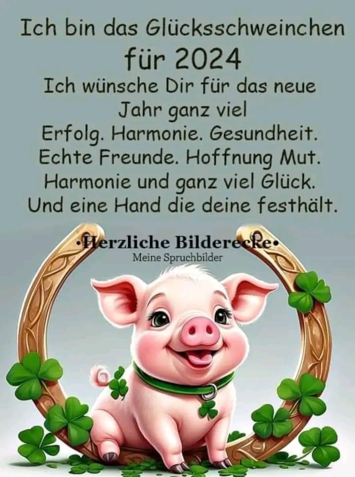 IMG_2808.JPG 2024 Glücksschwein