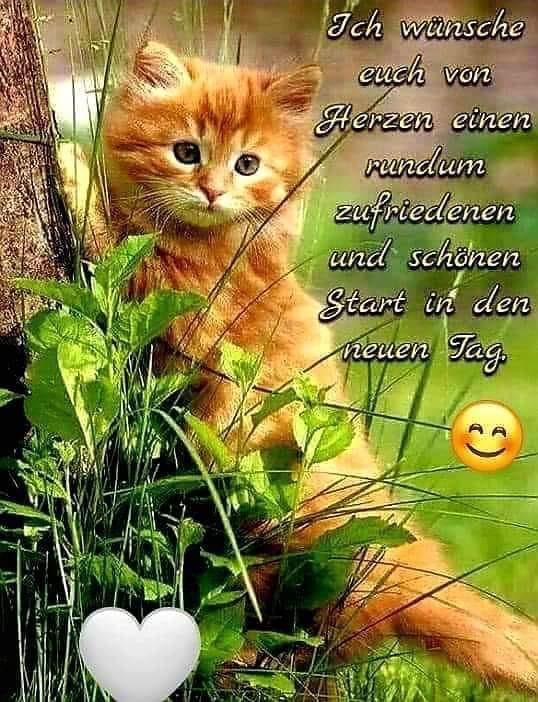 IMG_4713.JPG Guten Morgen