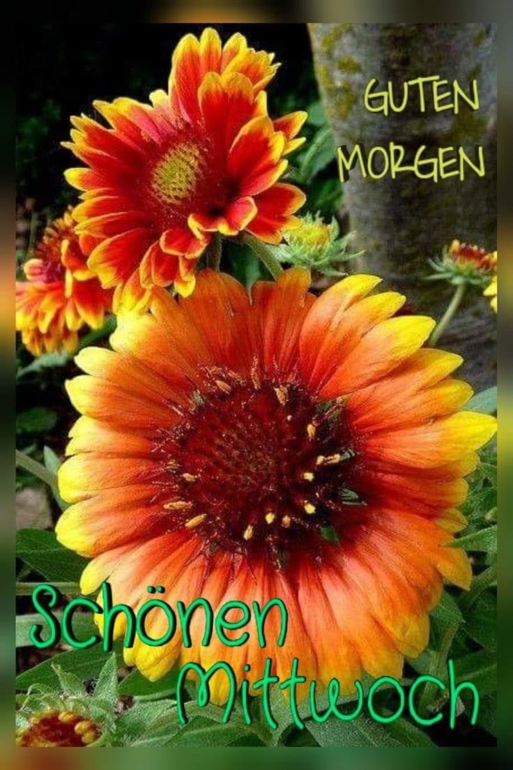 IMG_4750.JPG Mittwoch