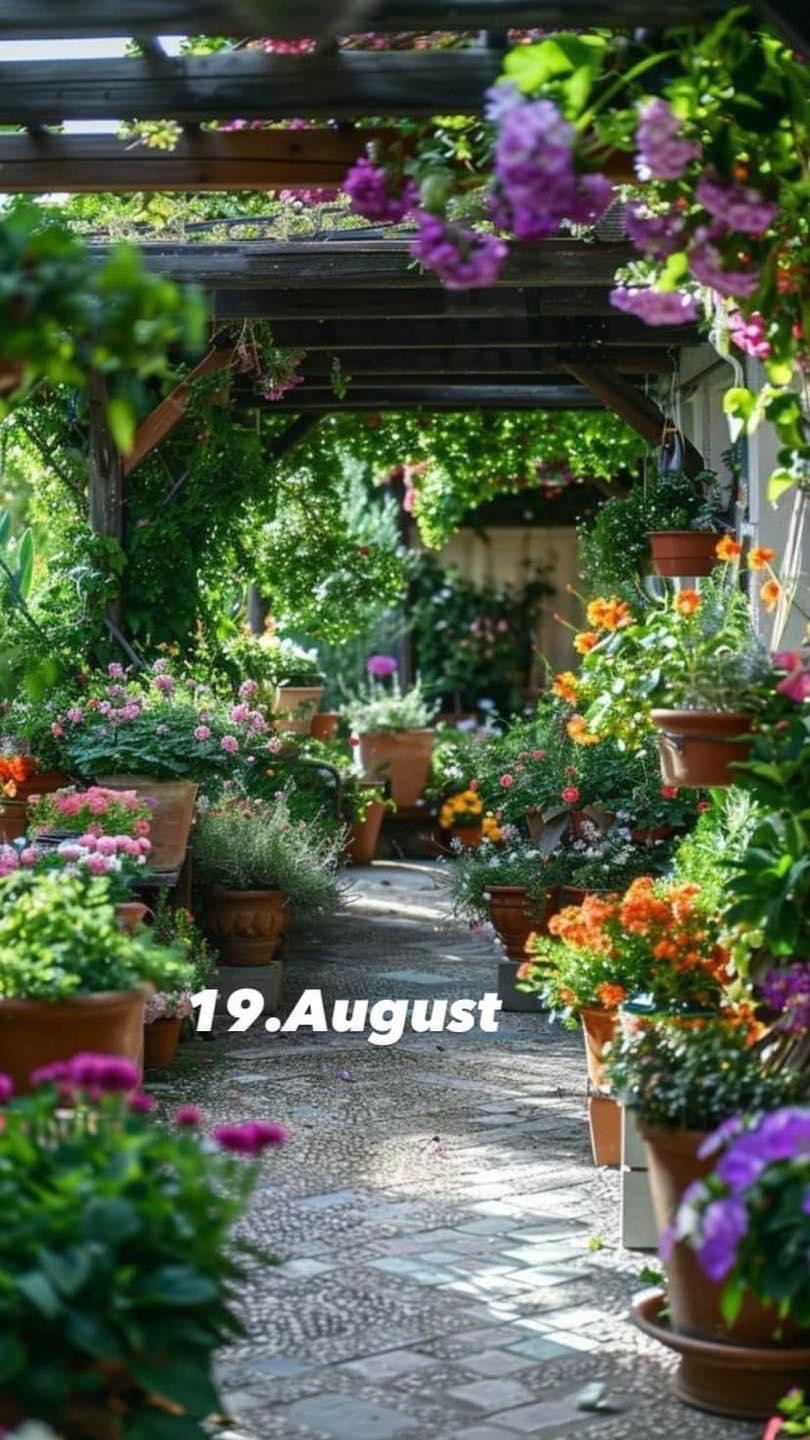 IMG_4794.JPG 19.8.24