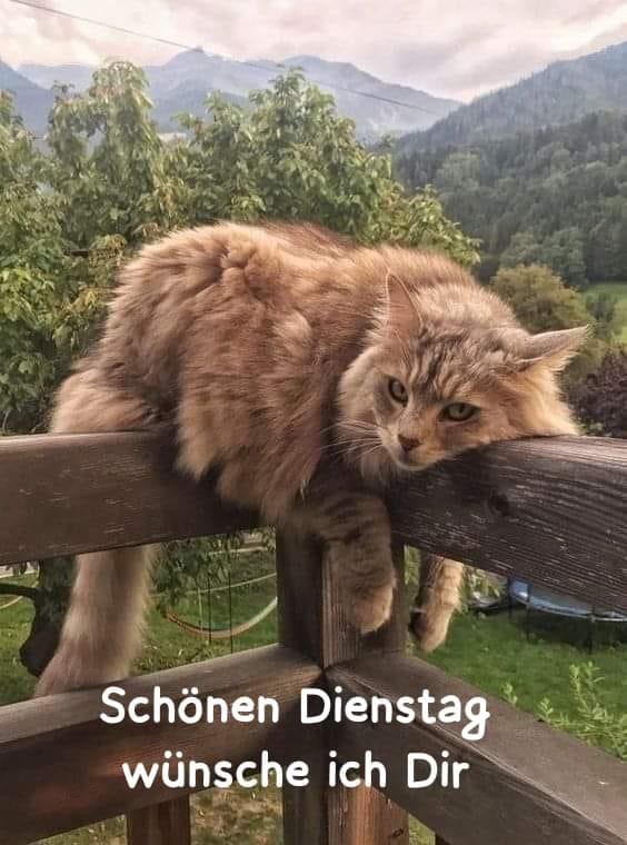 IMG_4857.JPG Dienstag