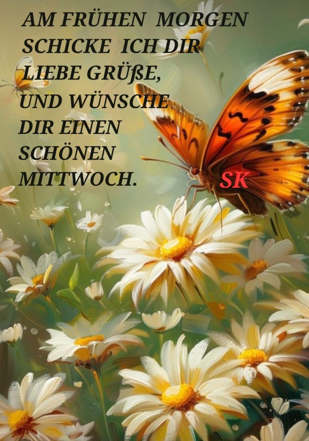 IMG_4863.JPG schönen Mittwoch