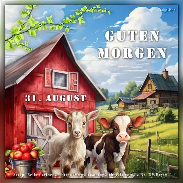 IMG_4888.JPG 31.8.. 24