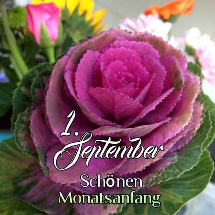 IMG_4914.JPG 1. September