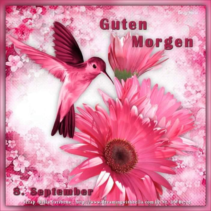 IMG_4995.JPG 8.9.2024