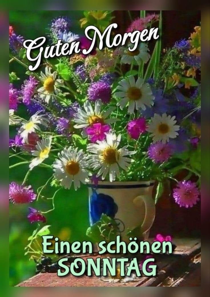 IMG_4996.JPG guten Morgen Sonntag