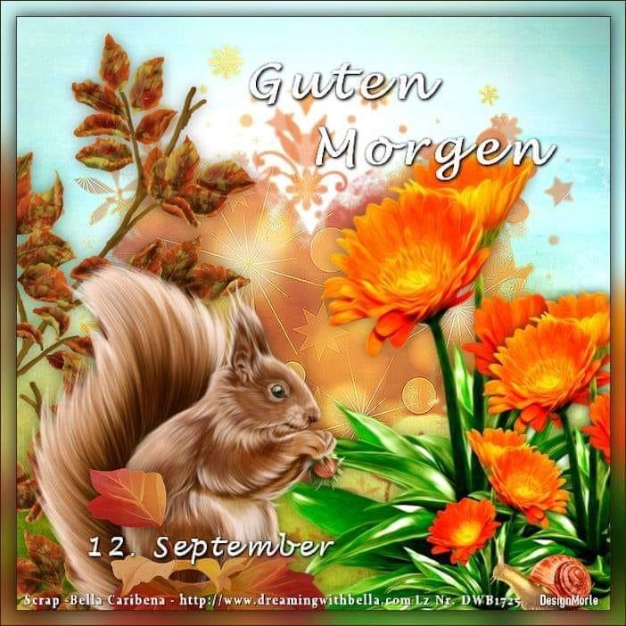 IMG_5086.JPG 12. 092024