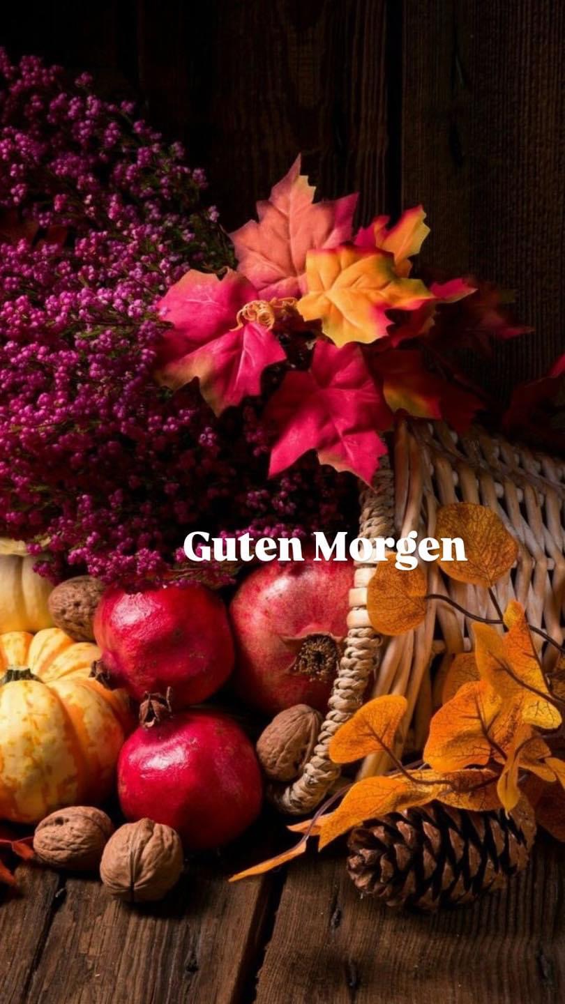 IMG_5110.JPG Guten Morgen