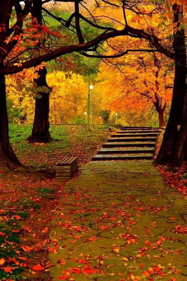 IMG_5123.JPG Herbst 1