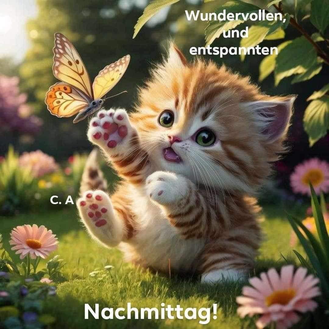 IMG_5147.JPG Nachmittag