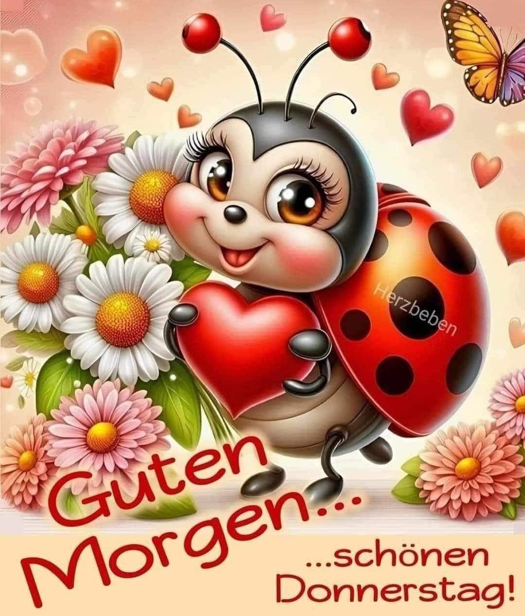 IMG_5185.JPG Guten Morgen Donnerstag