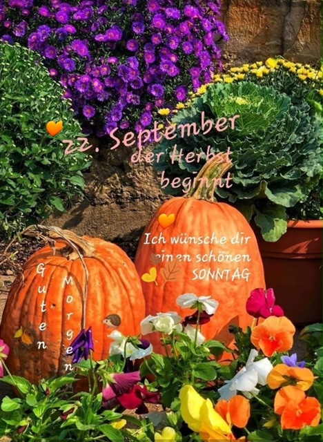 IMG_5218.JPG Herbsranfang September