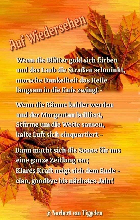 IMG_5228.JPG Auf wiedersehen