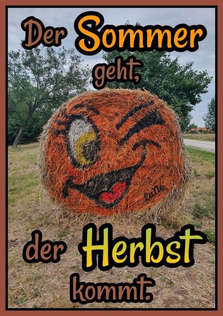 IMG_5243.JPG Der Sommer geht der Herbst kommt