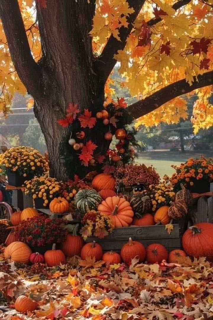 IMG_5253.JPG Herbst 4