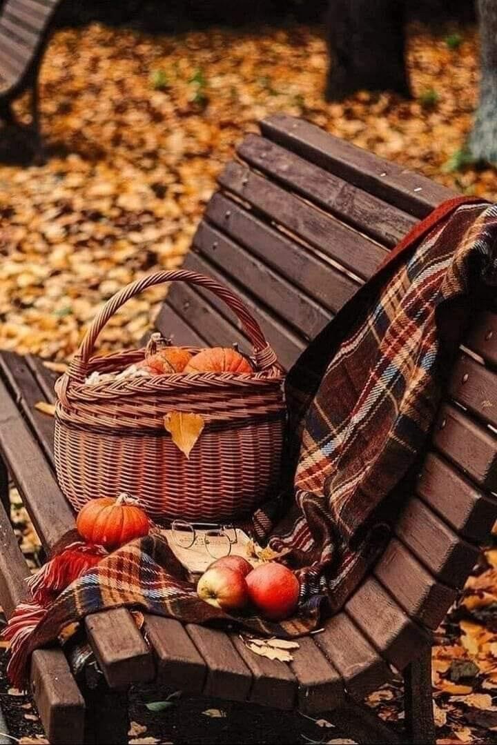 IMG_5254.JPG Herbst 5