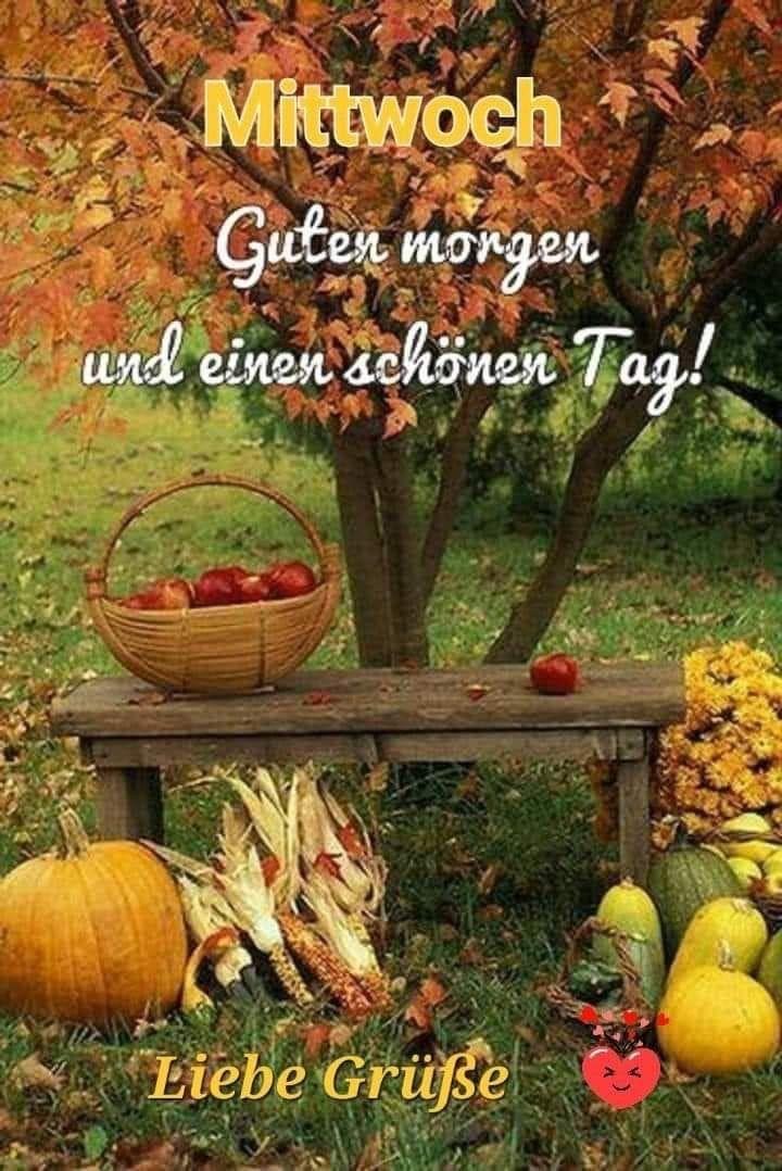 IMG_5264.JPG Mittwoch