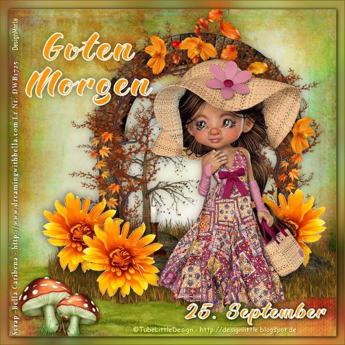 IMG_5265.JPG 25.8. 24