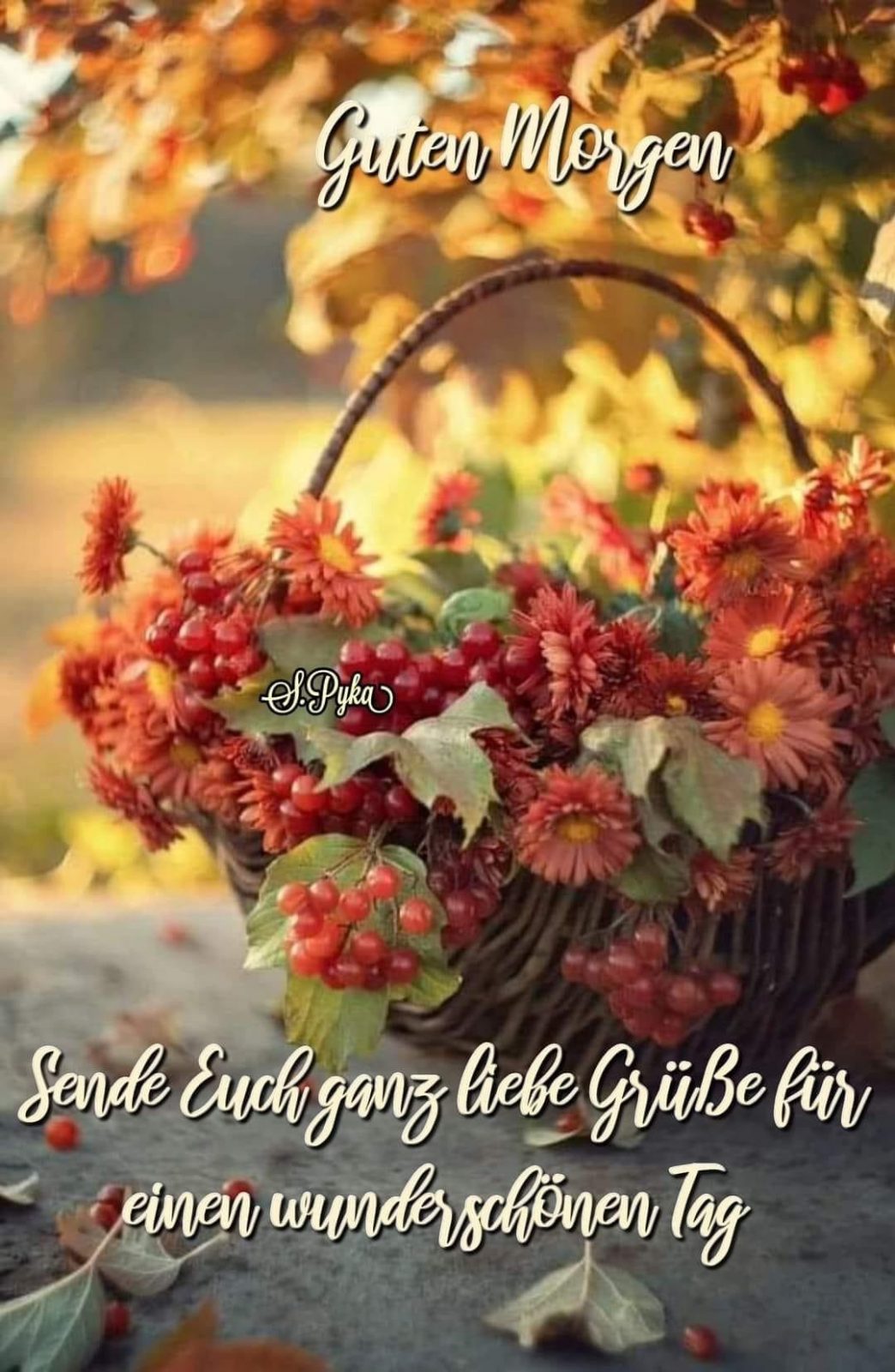 IMG_5276.JPG Guten Morgen