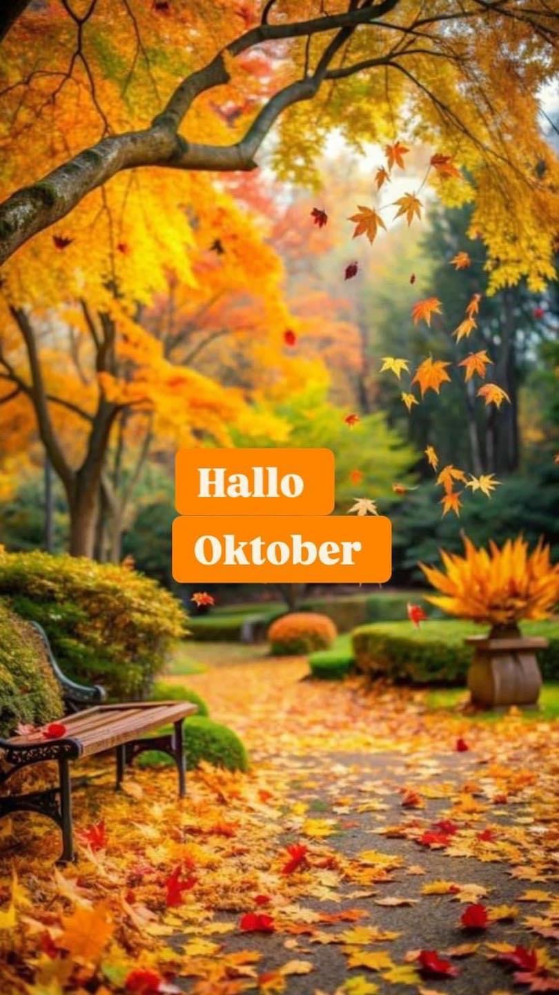 IMG_5347.JPG Hallo Oktober