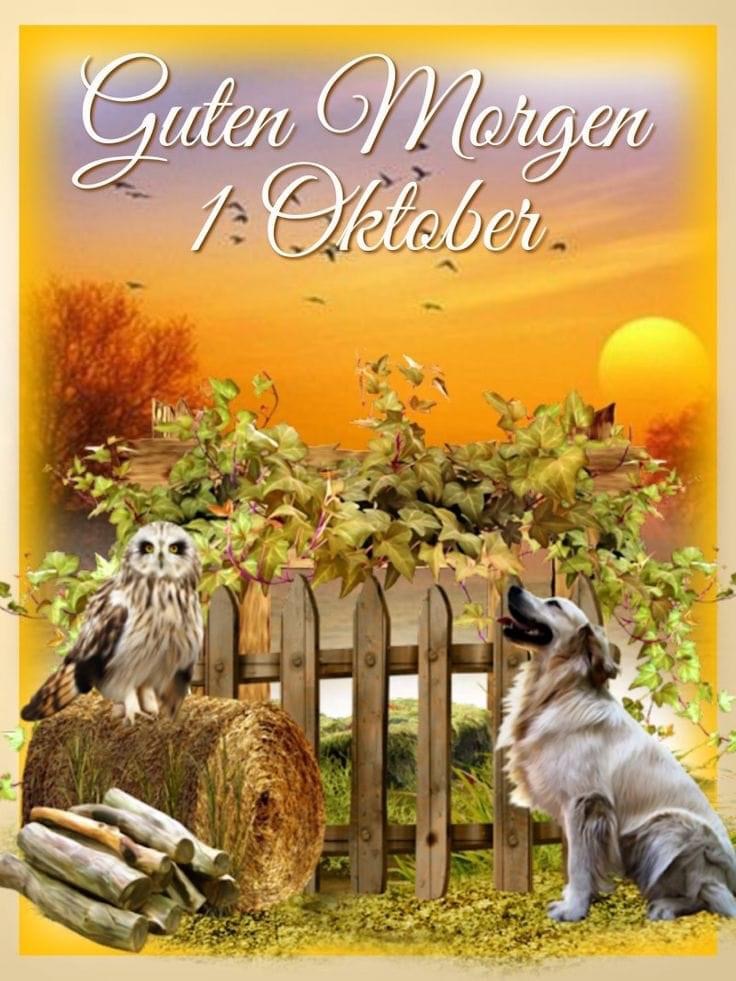 IMG_5356.JPG Guten Morgen 1. Oktober