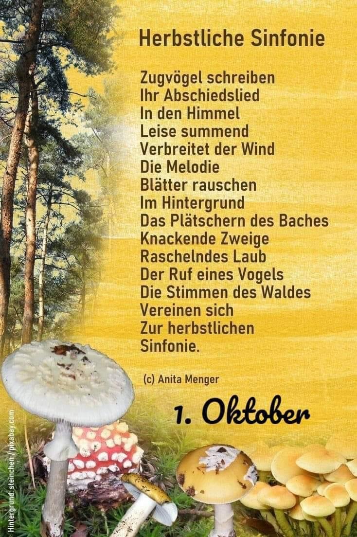 IMG_5366.JPG Verse 1. Oktober