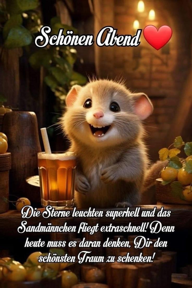 IMG_5628.JPG schönenAbend