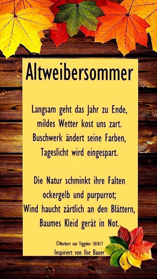 IMG_5641.JPG Altweibersommer