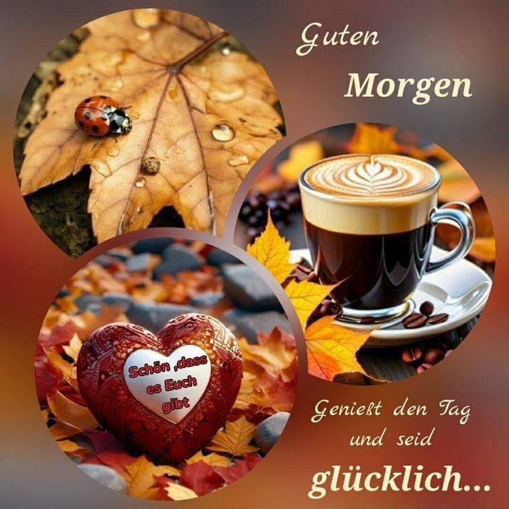 IMG_5679.JPG guten Morgen