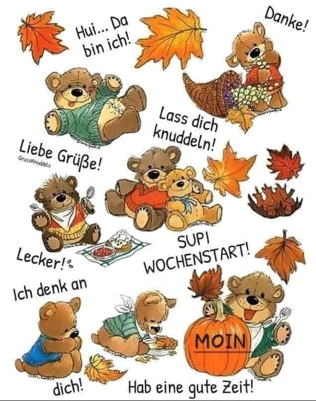 IMG_5685.JPG knudlige Grüße zum Wochenstart