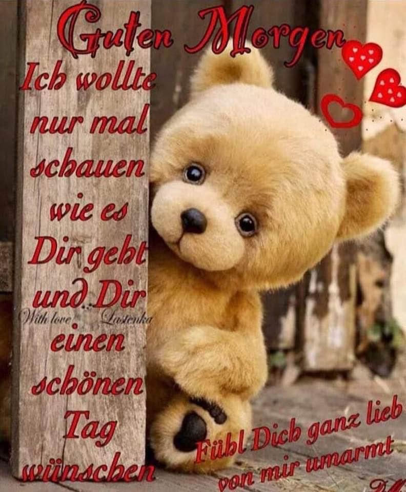 IMG_5691.JPG Bärchen wünscht