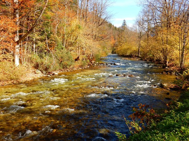 IMG_5765.JPG Herbst Wasser