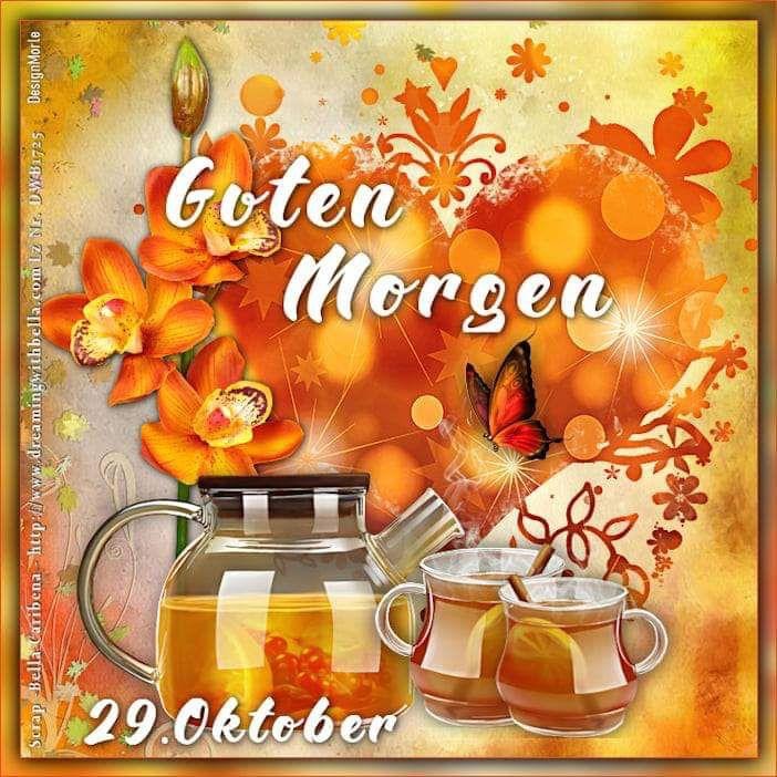 IMG_5876.JPG 29. 10, 2024